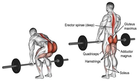 De deadlift - Fit by Markus | Techniek en uitvoering