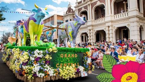 Carnival of Flowers Toowoomba | 30 Days of Flowers & Flavours ...