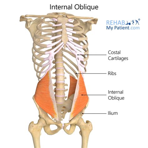 Internal