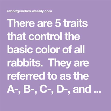 There are 5 traits that control the basic color of all rabbits. They ...