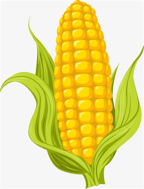 Corn clipart yellow corn, Corn yellow corn Transparent FREE for download on WebStockReview 2023