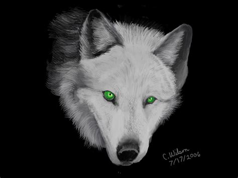 The Silver Wolf by WindSeeker on DeviantArt