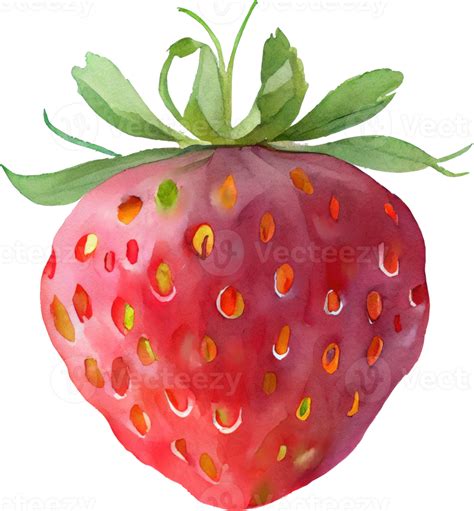 Free Strawberry Watercolor Illustration 22536765 PNG with Transparent Background