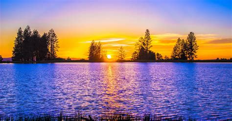 Blue and Orange Sunset over Lake With Tree Silhouettes · Free Stock Photo