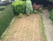 Is it best to scarify a lawn when wet or dry? - Alldor Garden