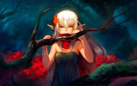 Anime Elf Wallpapers - Wallpaper Cave