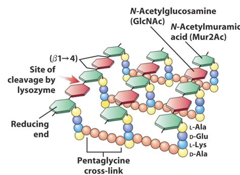 News in Proteomics Research: Nanospray single run analysis of ...