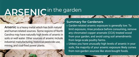 Arsenic in the Garden | NC State Extension