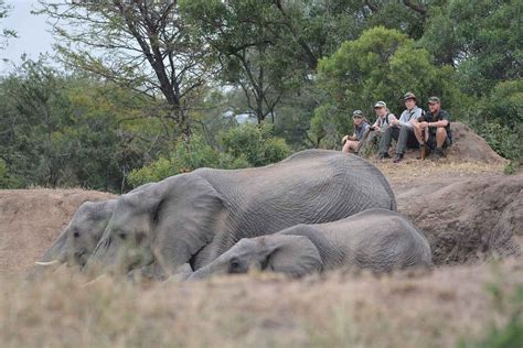 When is the Best Time to Go on Safari in South Africa?