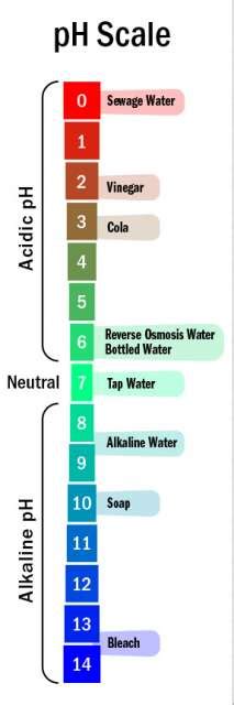 What are the benefits of alkaline water? | Aquasana