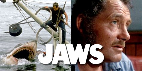 You're Gonna Need A Bigger Boat: 20 Best Quotes From Jaws