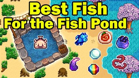 Are Fish Ponds Worth It Stardew? Top 4 Best Answers - Chambazone.com