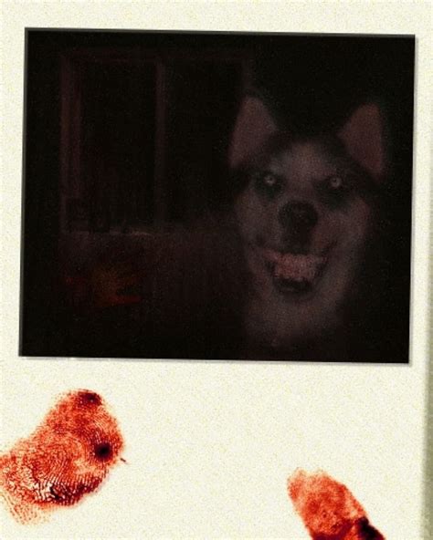 Scary Dog Creepypasta