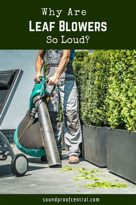 Leaf blowers are an incredibly useful tool. However, the loud noises ...