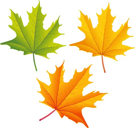 autumn maple leaf clip art 20 free Cliparts | Download images on ...