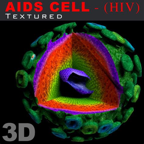 3d model aids hiv cell