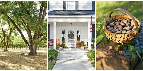 The Georgia Pecan Farm Every Southerner Needs to Visit - Pearson Pecan Farm