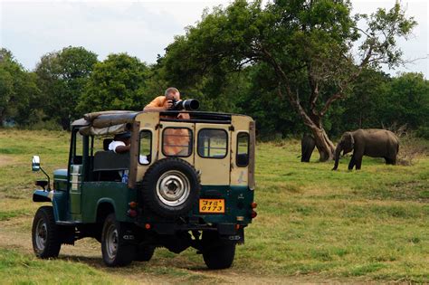 Yala National Park | Wildlife | Sri Lanka | Travel Destinations | Ancient Cities