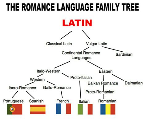 Super fascinating: how Latin led to... - Language Trainers