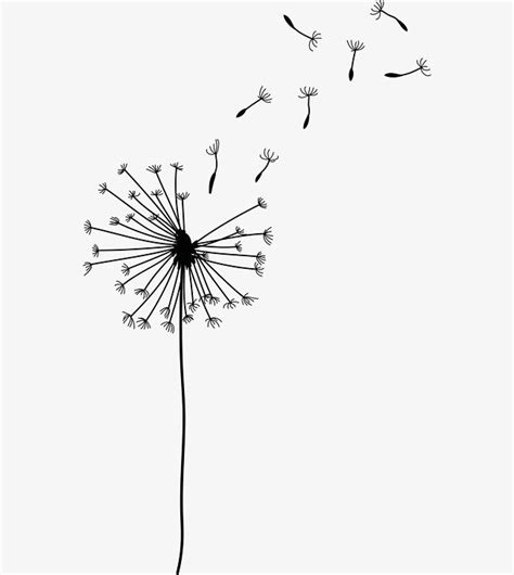 a dandelion blowing in the wind on a white background