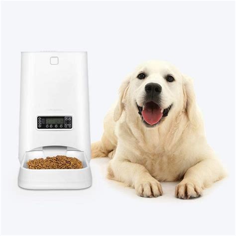 9 Practical Automatic Dog Feeders and Waterers for Large Breeds - Hey ...