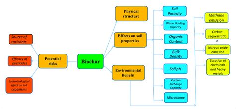 Tree diagram with main concepts of the review. | Download Scientific ...