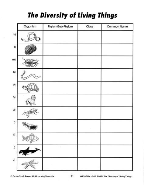 classification of living things worksheets - Google Search | Persuasive writing prompts, School ...