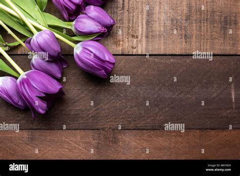 Copy easter hi-res stock photography and images - Alamy
