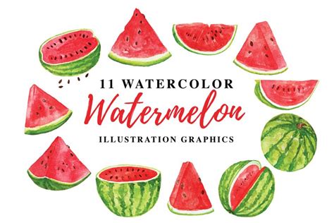 11 Watercolor Watermelon Illustration Graphics