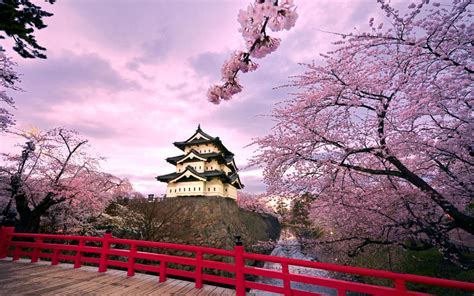 Beautiful Country Japan by iconThank-youplz on DeviantArt