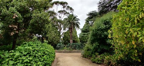 Royal Botanic Gardens Victoria & St Kilda Botanical Gardens : Melbourne ...