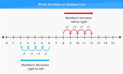 What is Number Line? - [Definition, Facts & Example]