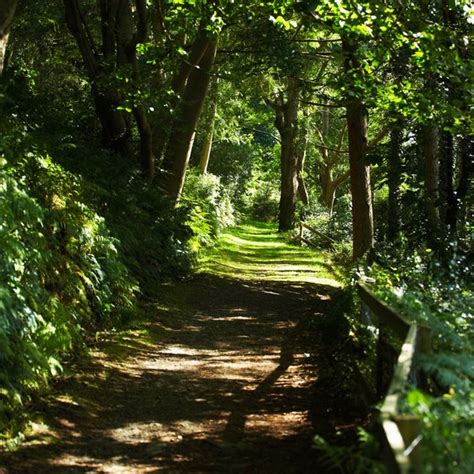 Hotels in Brockenhurst, New Forest, England | USA Today