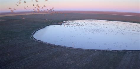 Conservation project aims to restore Ogallala Aquifer through naturally occurring landforms ...