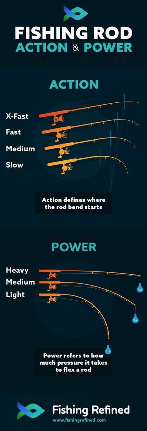 Different Fishing Rod Types & Uses Explained (Guide)