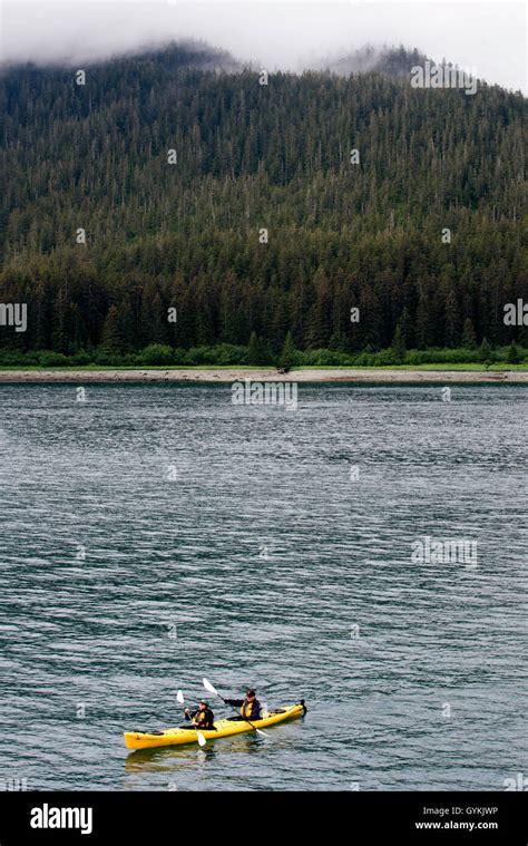 Kayaking in Icy Strait. Glacier Bay National Park adn Preserve. Chichagof Island. Juneau ...