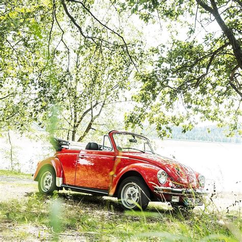 How about a romantic day with this classic convertible? #vwbeetle #classic #vintage #volkswagen ...