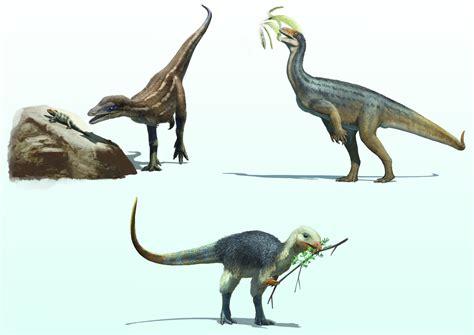 New Research Shines Light on Feeding Habits of Early Dinosaurs | Sci.News