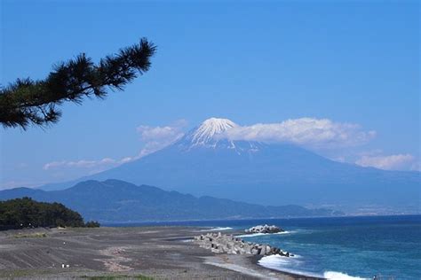 THE 15 BEST Things to Do in Shizuoka - UPDATED 2021 - Must See Attractions in Shizuoka, Japan ...