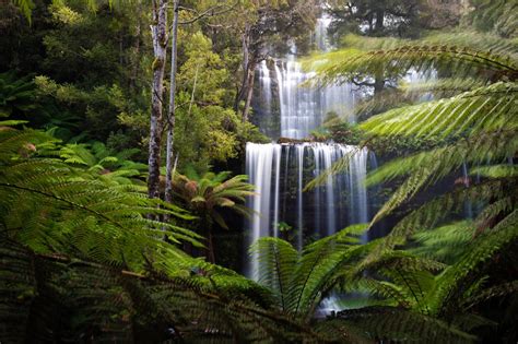 How to visit Russell Falls Tasmania: The Iconic Waterfall