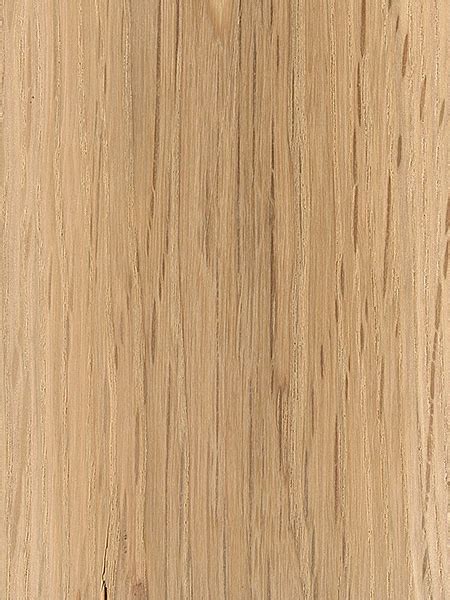 Swamp White Oak | The Wood Database (Hardwood)