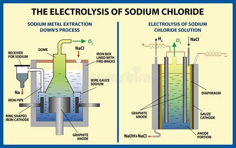 The Electrolysis of Sodium Chloride. Vector Illustration Stock Vector - Illustration of cathode ...