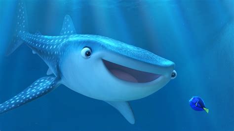 What Is A Whale Shark? The 'Finding Dory' Character Is The Largest Fish In The Ocean