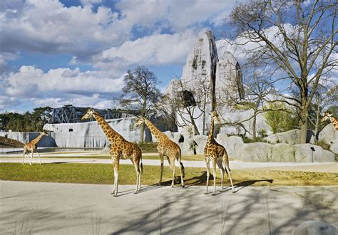 Parc Zoologique de Paris (Zoo de Vincennes) - guide pratique et tarifs 2019