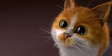 Blender Cat splashscreen entry by obi1knobi on DeviantArt