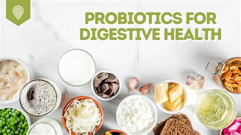 Probiotics for digestive health – Protea Nutrition