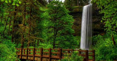 Waterfall Forest HD Wallpapers - Wallpaper Cave