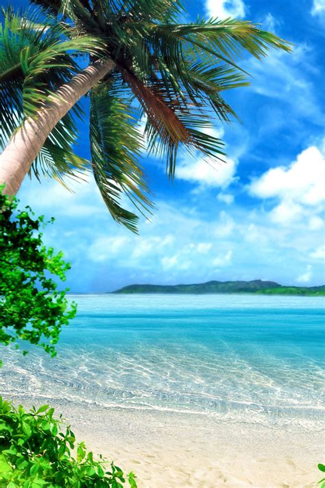 Paradise Iphone Wallpaper - Tropical Beach (#2187657) - HD Wallpaper & Backgrounds Download