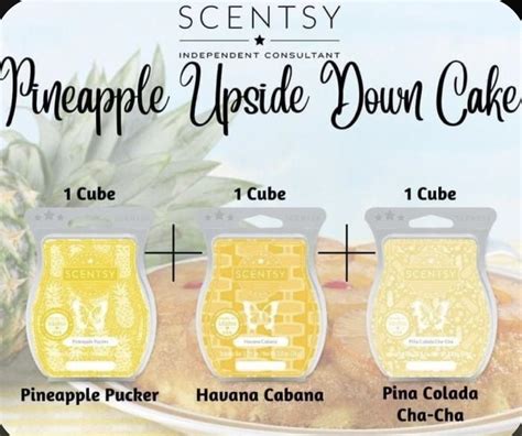 Scentsy wax bars – Artofit