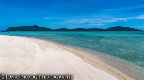 Pig Island Koh Samui Day Trip: Everything You Need To Know